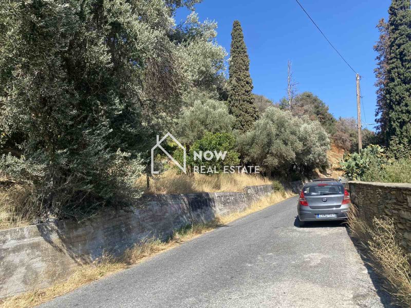 תוצאות נדל״ן באתונה נכסים להשקעה ביוון לישראלים