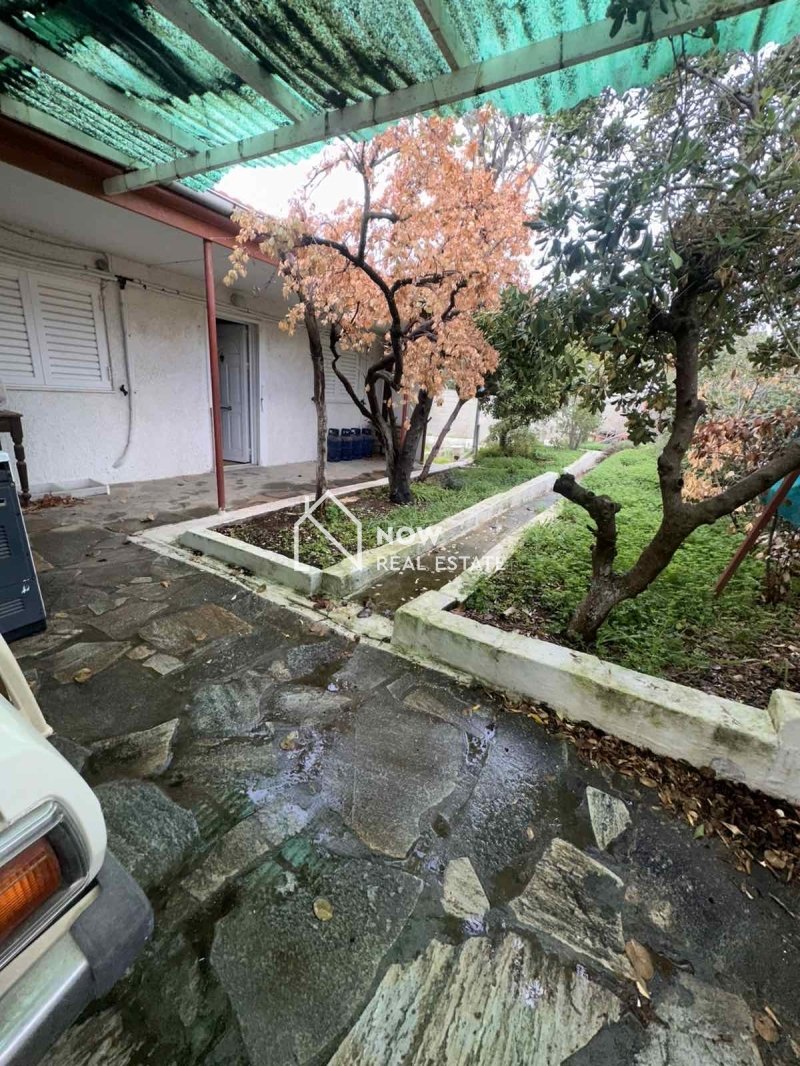 תוצאות נדל״ן באתונה נכסים להשקעה ביוון לישראלים