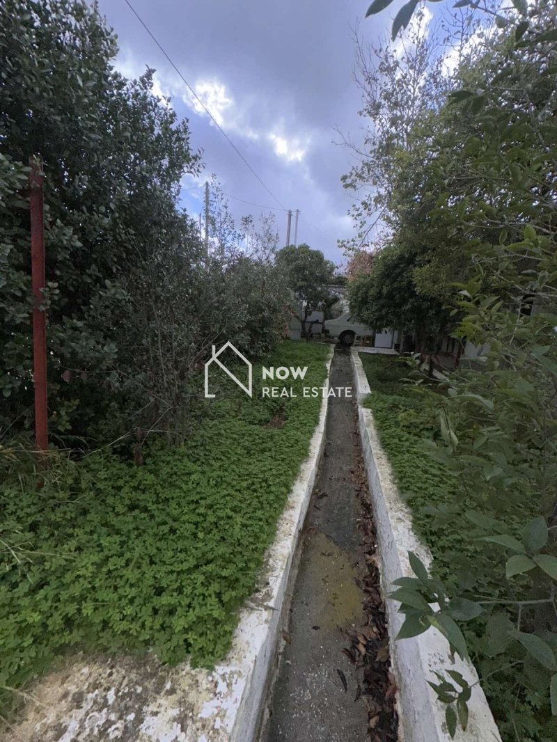 תוצאות נדל״ן באתונה נכסים להשקעה ביוון לישראלים