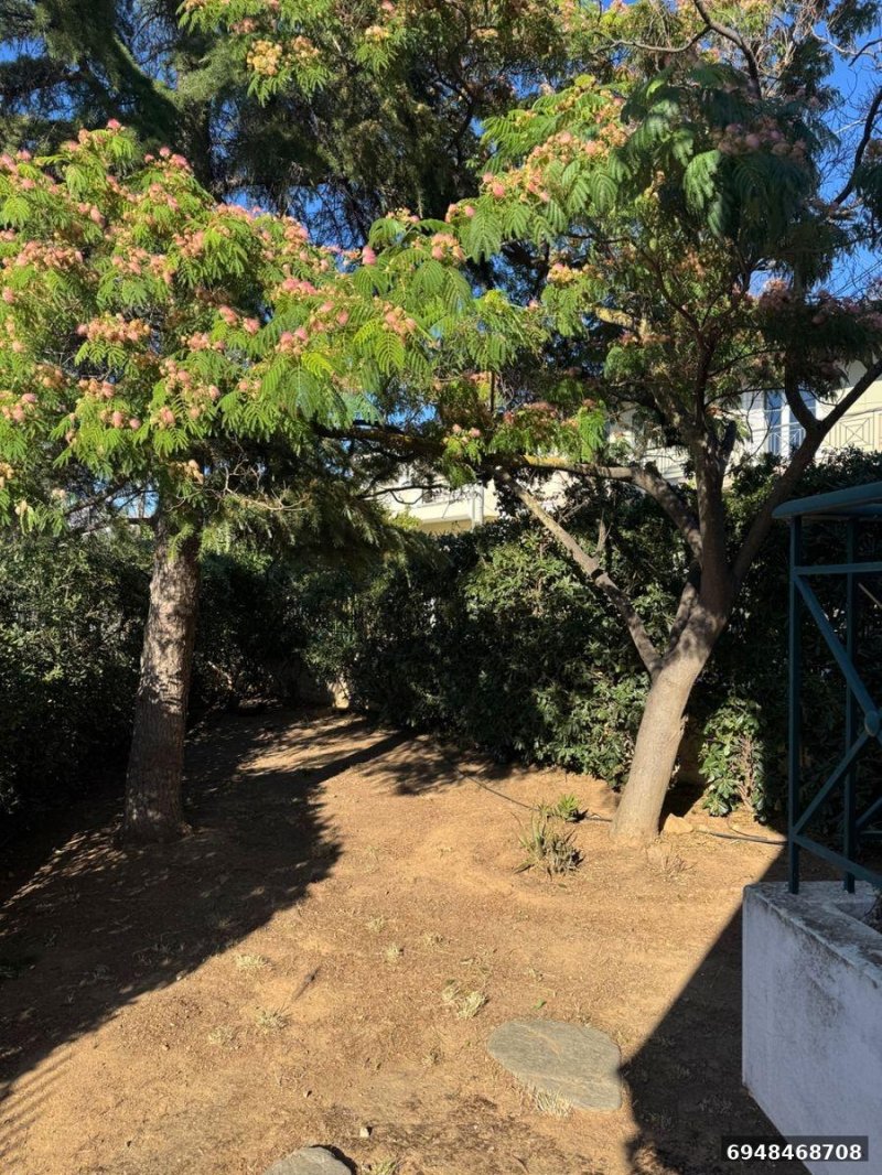 תוצאות נדל״ן באתונה נכסים להשקעה ביוון לישראלים